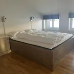 Apartmán Romslig Toppleilighet 134 Kvm Med Balkong Perfekt For Firma Og Grupper